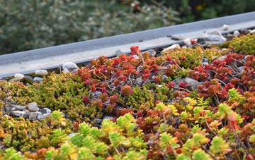 the cost of Blashford green roof installation