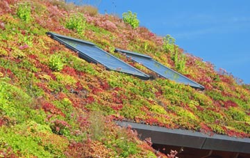 Blashford living roof systems