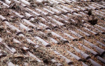 Blashford roof cleaning companies