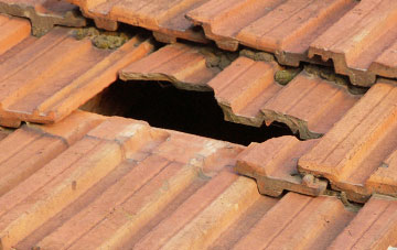 roof repair Blashford, Hampshire
