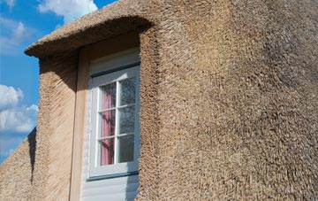 Blashford thatch roof disadvantages