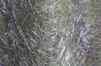 Blashford fibreglass roof work