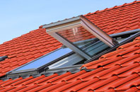 Blashford roof window